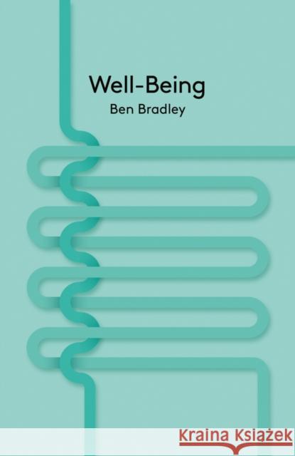Well-Being Ben Bradley 9780745662732 Wiley-Blackwell - książka