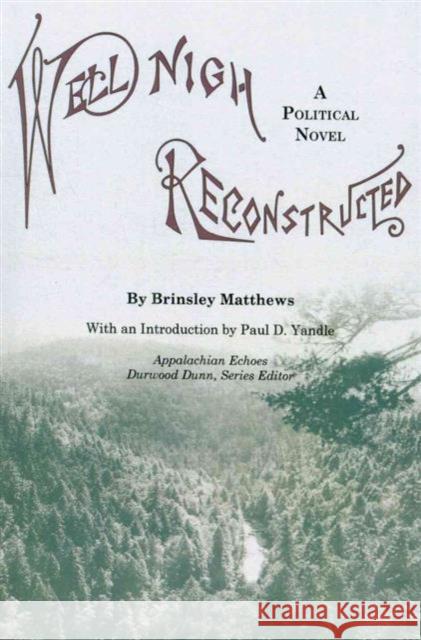 Well-Nigh Reconstructed: A Political Novel Matthews, Brinsley 9781572337213 University of Tennessee Press - książka