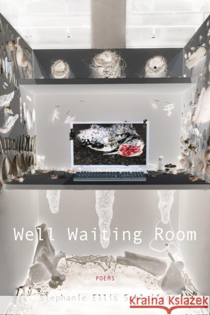 Well Waiting Room Stephanie Ellis Schlaifer 9780823297771 Fordham University Press - książka