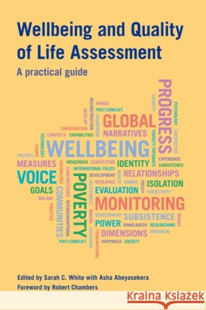 Wellbeing and Quality of Life Assessment: A Practical Guide Sarah C. White Asha Abeyasekera 9781853398414 Practical Action - książka