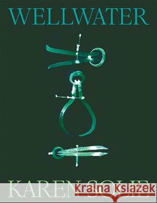 Wellwater: Winner of the Forward Prize for Best Collection Karen Solie 9781035048182 Pan Macmillan - książka
