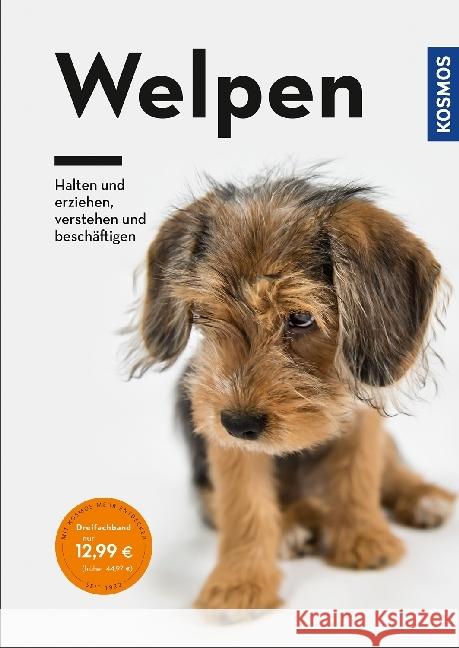 Welpen : Halten und erziehen, verstehen und beschäftigen Lübbe-Scheuermann, Perdita 9783440158494 Kosmos (Franckh-Kosmos) - książka