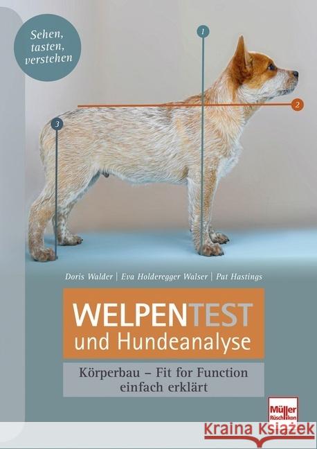 Welpentest und Hundeanalyse Hastings, Pat, Walder, Doris, Holderegger Walser, Eva 9783275022069 Müller Rüschlikon - książka