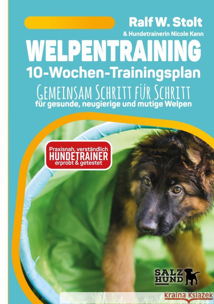 Welpentraining mit Welpen Wissen - der 10-Wochen-Trainingsplan - praxisnah, verständlich und mit Hundetrainern entwickelt Stolt, Ralf W. 9783384492883 SalzHund Medien - książka