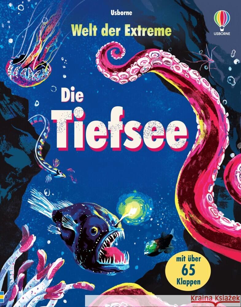 Welt der Extreme: Die Tiefsee Cowan, Laura 9781035700684 Usborne Verlag - książka