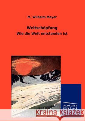 Weltschöpfung Meyer, M. Wilhelm 9783846003848 Salzwasser-Verlag Gmbh - książka