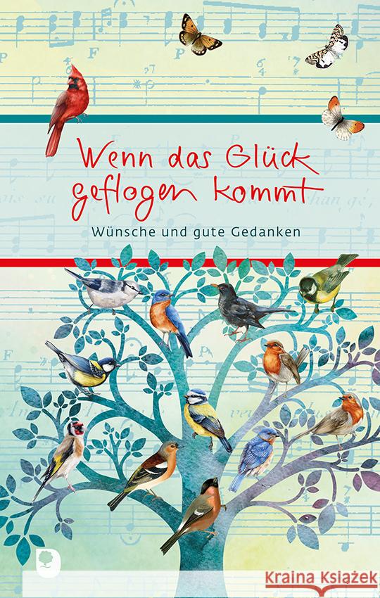 Wenn das Glück geflogen kommt  9783987001536 Eschbach - książka