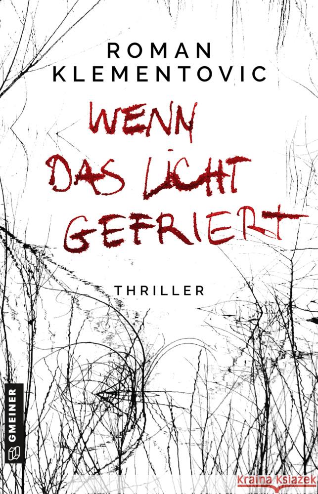 Wenn das Licht gefriert Klementovic, Roman 9783839227701 Gmeiner-Verlag - książka