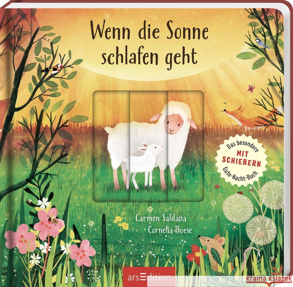 Wenn die Sonne schlafen geht Boese, Cornelia 9783845855547 ars edition - książka