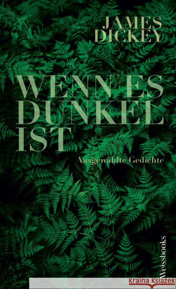 Wenn es dunkel ist Dickey, James, Mehigan, Joshua 9783863372040 weissbooks - książka