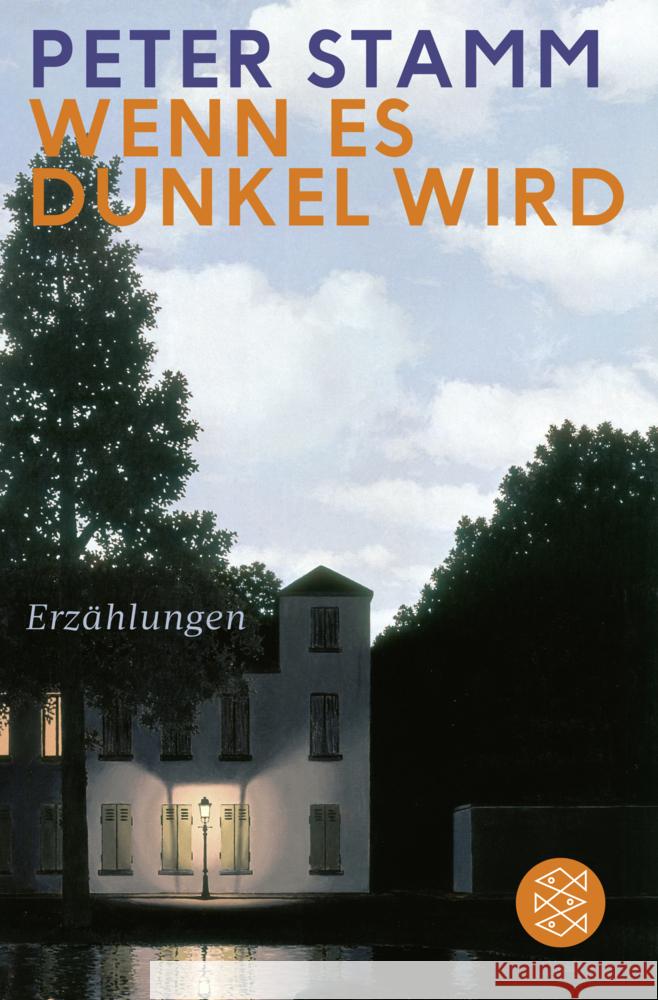Wenn es dunkel wird Stamm, Peter 9783596031252 FISCHER Taschenbuch - książka