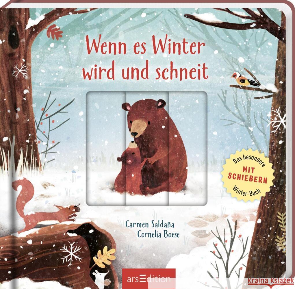 Wenn es Winter wird und schneit Boese, Cornelia 9783845856407 ars edition - książka