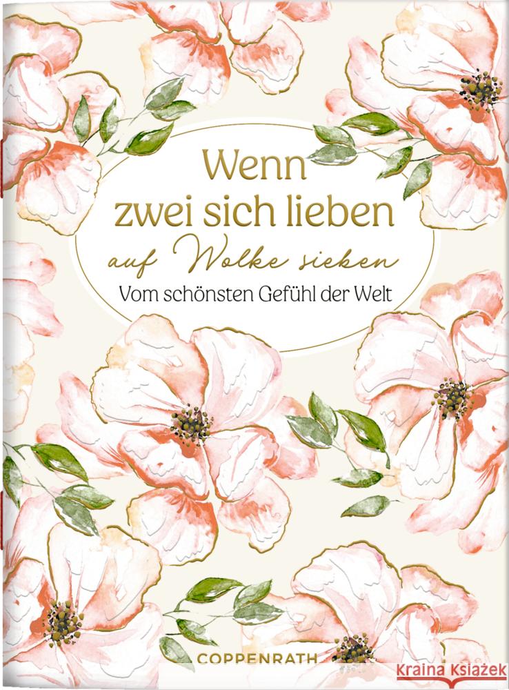 Wenn zwei sich lieben auf Wolke sieben  9783649650034 Coppenrath, Münster - książka