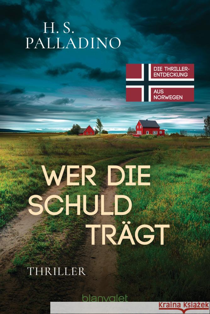 Wer die Schuld trägt Palladino, H.S. 9783734112720 Blanvalet - książka