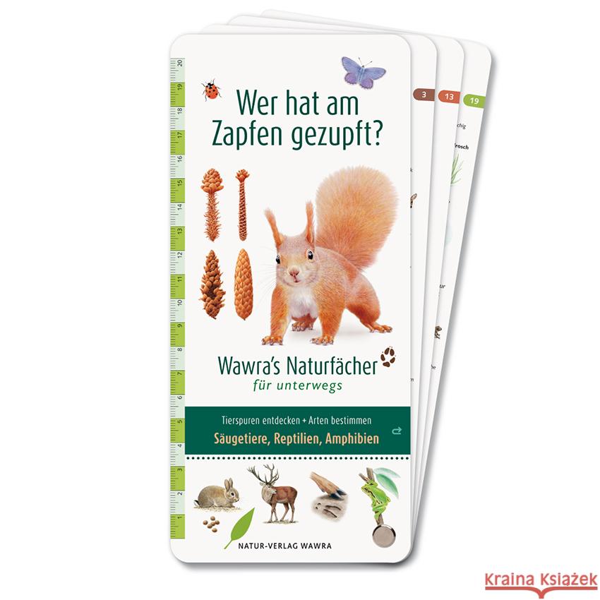 Wer hat am Zapfen gezupft? - Wawra's Naturfächer für unterwegs Wawra, Ursula 9783981548587 Natur-Verlag Wawra - książka
