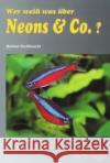 Wer weiß was über Neons & Co.? Stallknecht, Helmut   9783897451803 Tetra Verlag