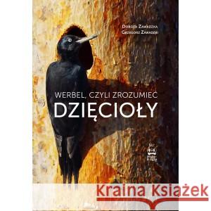 Werbel, czyli zrozumieć dzięcioły Dorota Zawadzka, Grzegorz Zawadzki 9788396524843 PAŚNY BURIAT - książka