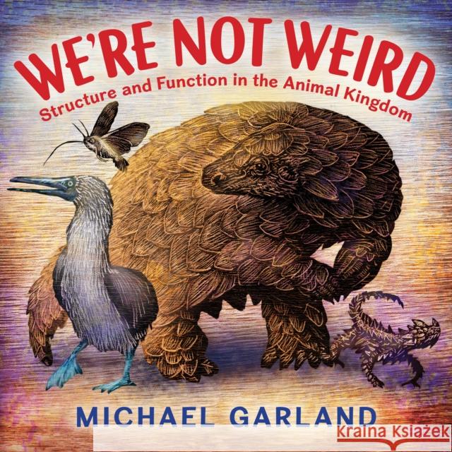 We're Not Weird: Structure and Function in the Animal Kingdom Michael Garland 9780823451029 Holiday House - książka