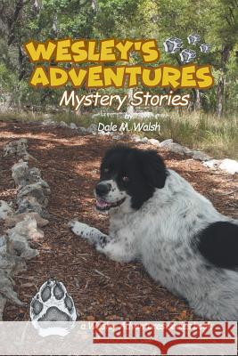 Wesley's Adventures: Mystery Stories Dale M Walsh 9781640035065 Covenant Books - książka