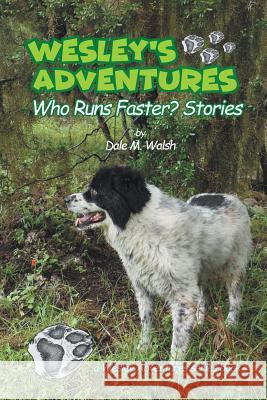 Wesley's Adventures: 