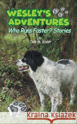 Wesley's Adventures: 