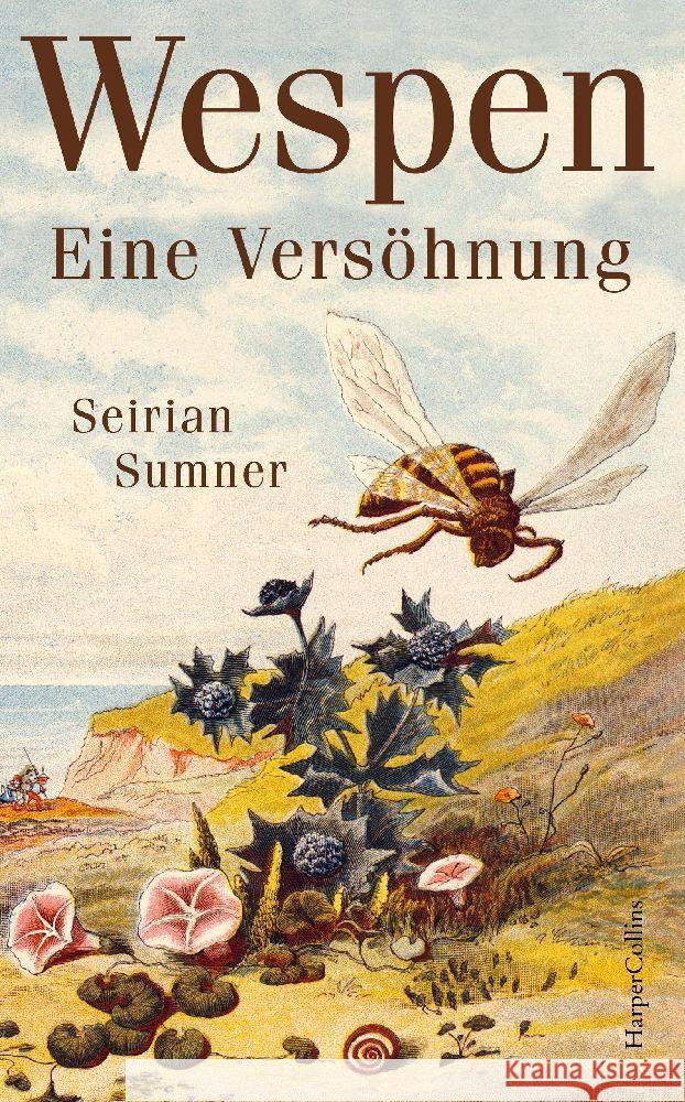 Wespen - Eine Versöhnung Sumner, Seirian 9783749902088 HarperCollins - książka