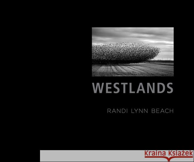 Westlands: A Water Story Randi Lynn Beach Thomas Holyoke Yiyun Li 9780826358363 University of New Mexico Press - książka
