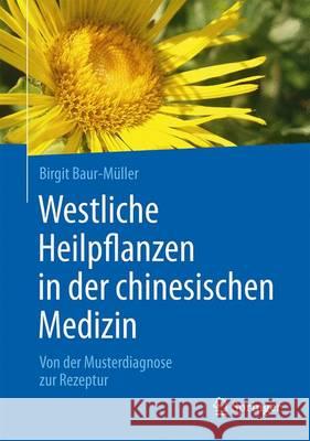 Westliche Heilpflanzen in Der Chinesischen Medizin: Von Der Musterdiagnose Zur Rezeptur Baur-Müller, Birgit 9783662487617 Springer - książka