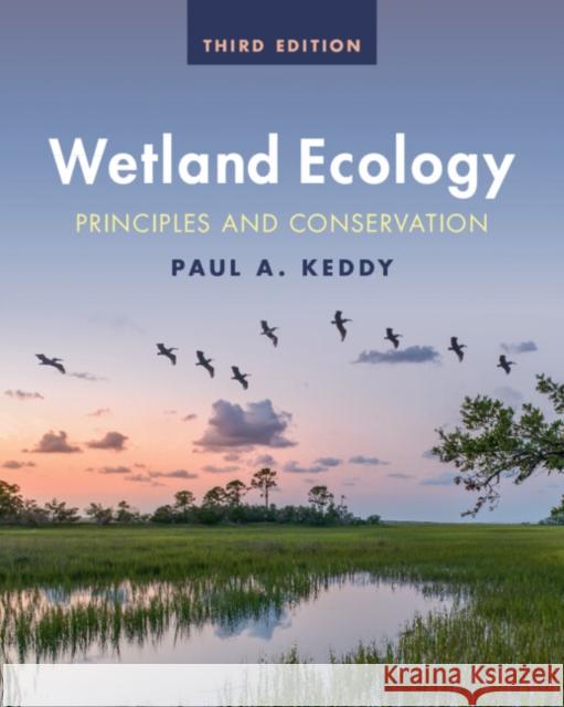 Wetland Ecology: Principles and Conservation Paul A. Keddy 9781009288644 Cambridge University Press - książka