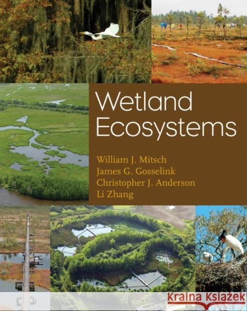 Wetland Ecosystems William J. Mitsch James G. Gosselink Li Zhang 9780470286302 John Wiley & Sons - książka