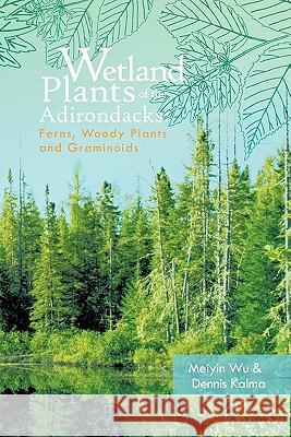 Wetland Plants of the Adirondacks: Ferns, Woody Plants, and Graminoids Wu, Meiyin 9781426958403 Trafford Publishing - książka