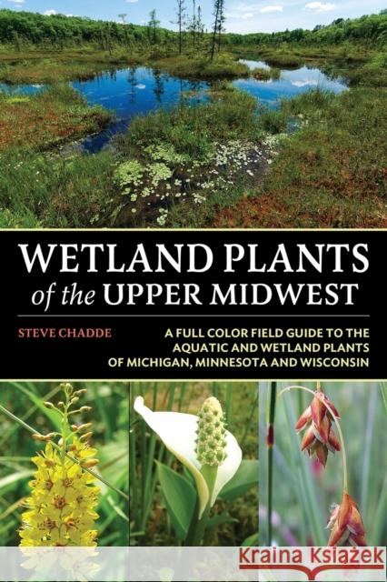 Wetland Plants of the Upper Midwest Steve W Chadde   9781951682682 Orchard Innovations - książka