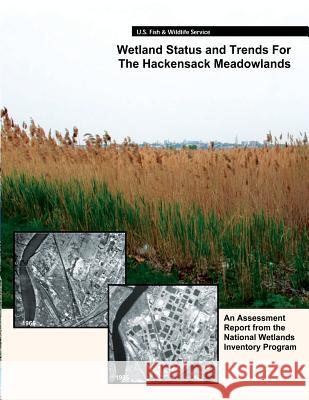 Wetland Status and Trends for the Hackensack Meadowlands: An Assessment Report from the U.S. Fish and Wildlife Service's National Wetlands Inventory P R. W. Tiner J. Q. Swords B. J. McClain 9781490396422 Createspace - książka