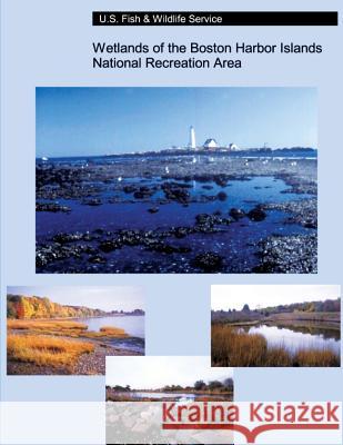 Wetlands of the Boston Harbor Islands National Recreation Area Ralph W., Jr. Tiner John Q. Swords Herbert C. Bergquist 9781489585233 Createspace - książka