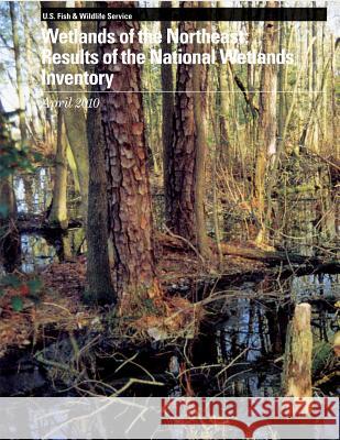 Wetlands of the Northeast: Results of the National Wetlands Inventory U. S. Fish &. Wildlife Service 9781489585615 Createspace - książka