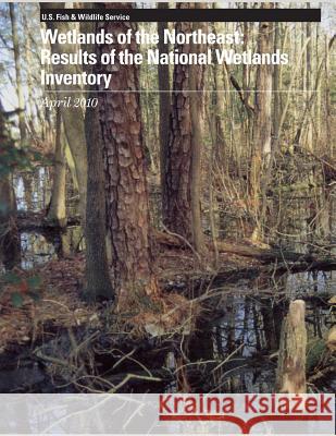 Wetlands of the Northeast: Results of the National Wetlands Inventory, April 2010 U S Fish & Wildlife Service 9781507728413 Createspace - książka