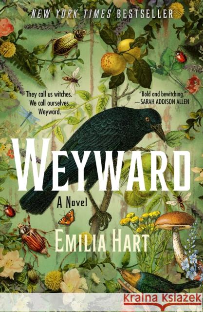 Weyward: A Novel Emilia Hart 9781250842725 St. Martin's Publishing Group - książka