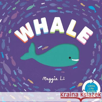 Whale Maggie Li Maggie Li 9781536235050 Templar Books - książka