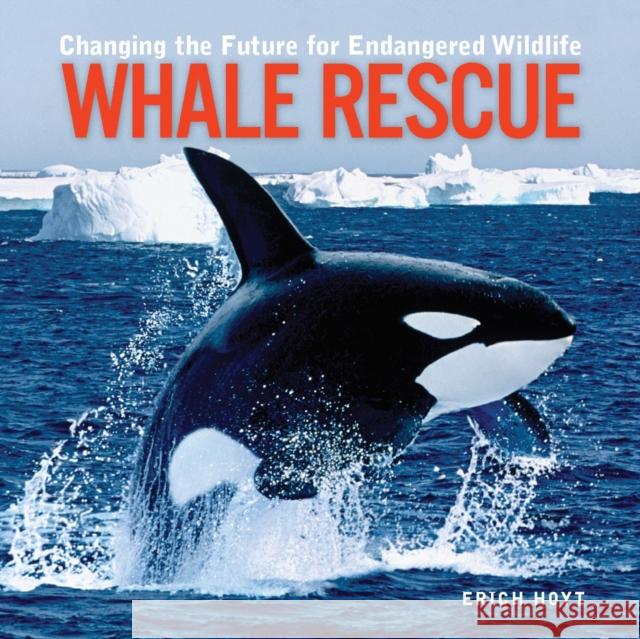 Whale Rescue: Changing the Future for Endangered Wildlife Hoyt, Erich 9781552976005 Firefly Books - książka