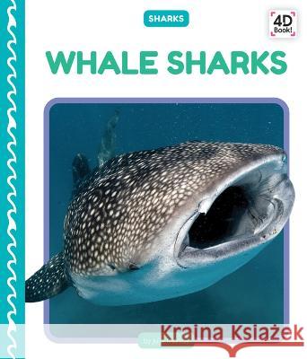 Whale Sharks Julie Murray 9781098244262 Cody Koala - książka