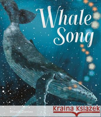 Whale Song Nicola Davies 9781529513189 Walker Books Ltd - książka