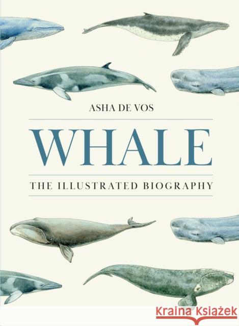 Whale: The Illustrated Biography Asha de Vos 9780691273211 Princeton University Press - książka