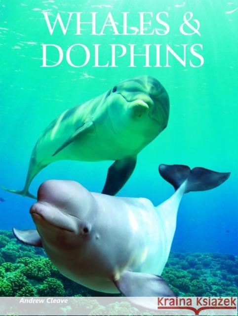 Whales & Dolphins Andrew Cleave 9781422243114 Mason Crest Publishers - książka