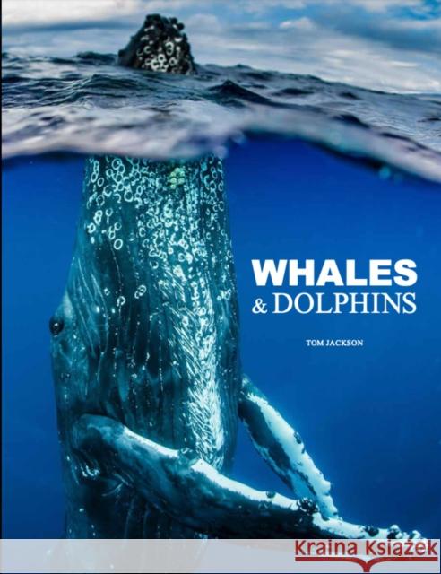 Whales & Dolphins Tom Jackson 9781838864248 Amber Books Ltd - książka