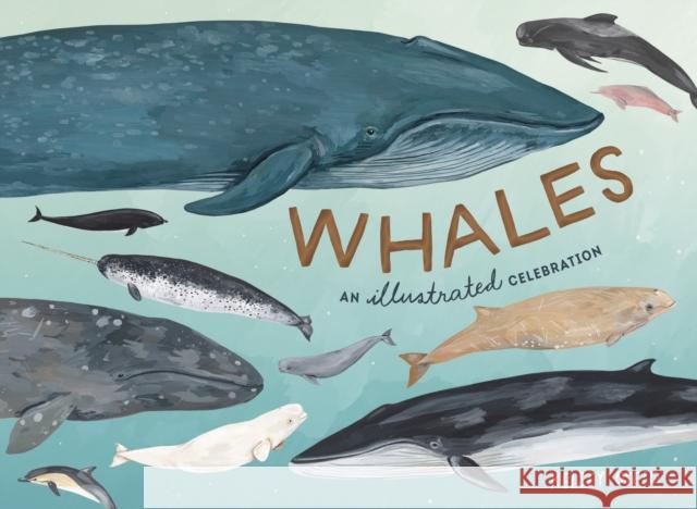 Whales: An Illustrated Celebration Kelsey Oseid 9780399581830 Ten Speed Press - książka