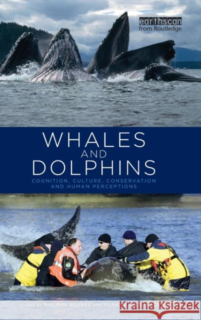 Whales and Dolphins: Cognition, Culture, Conservation and Human Perceptions Brakes, Philippa 9781849712248 Ear - książka