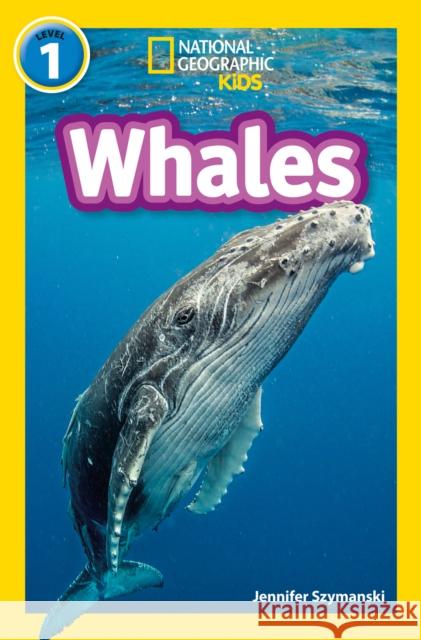 Whales: Level 1 National Geographic Kids 9780008422196 HarperCollins Publishers - książka