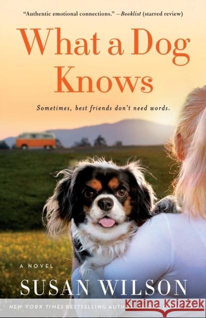 What a Dog Knows Susan Wilson 9781250077271 St. Martin's Griffin - książka