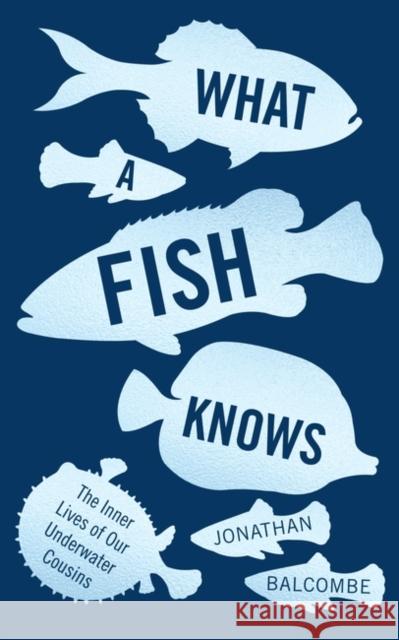 What a Fish Knows: The Inner Lives of Our Underwater Cousins Jonathan Balcombe 9781786072092 Oneworld Publications - książka