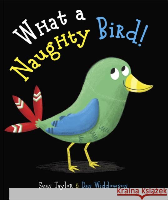 What a Naughty Bird Sean Taylor 9781783703487 Templar Publishing - książka